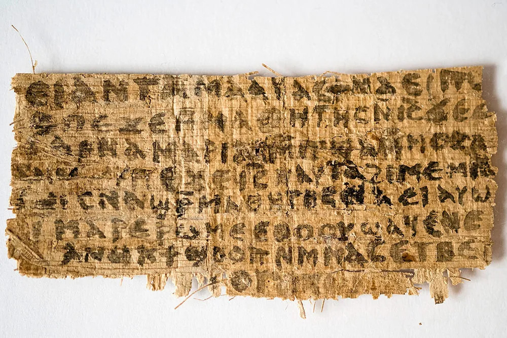 Papyrus NZ
