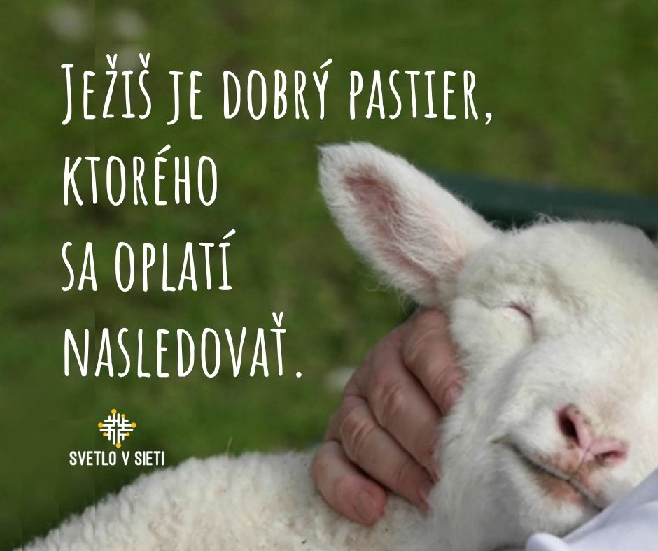 Ježiš je dobrý pastier, ktorého sa oplatí nasledovať